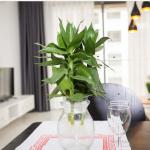 Gold View - 2 Bedrooms
