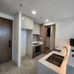 The River Thu Thiem 2 Bedrooms